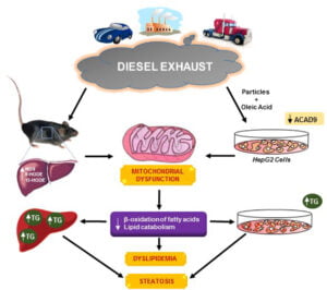 Horrible pollution from diesel trucks