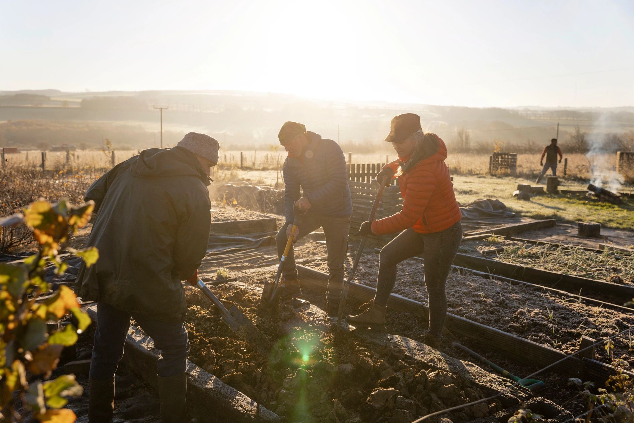 Volunteers learning and working together on a farm