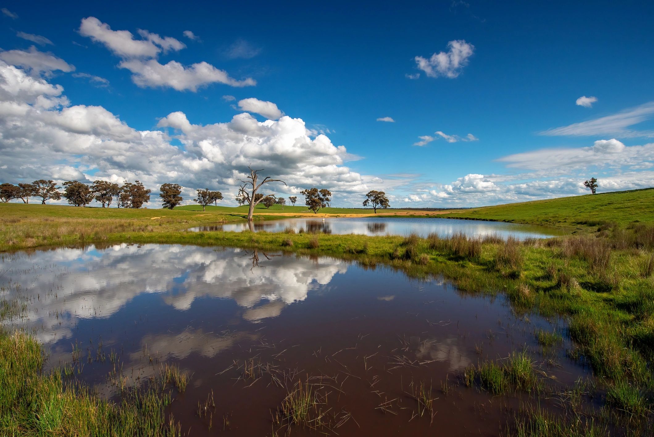 Farm pond and surrounding rural landscape