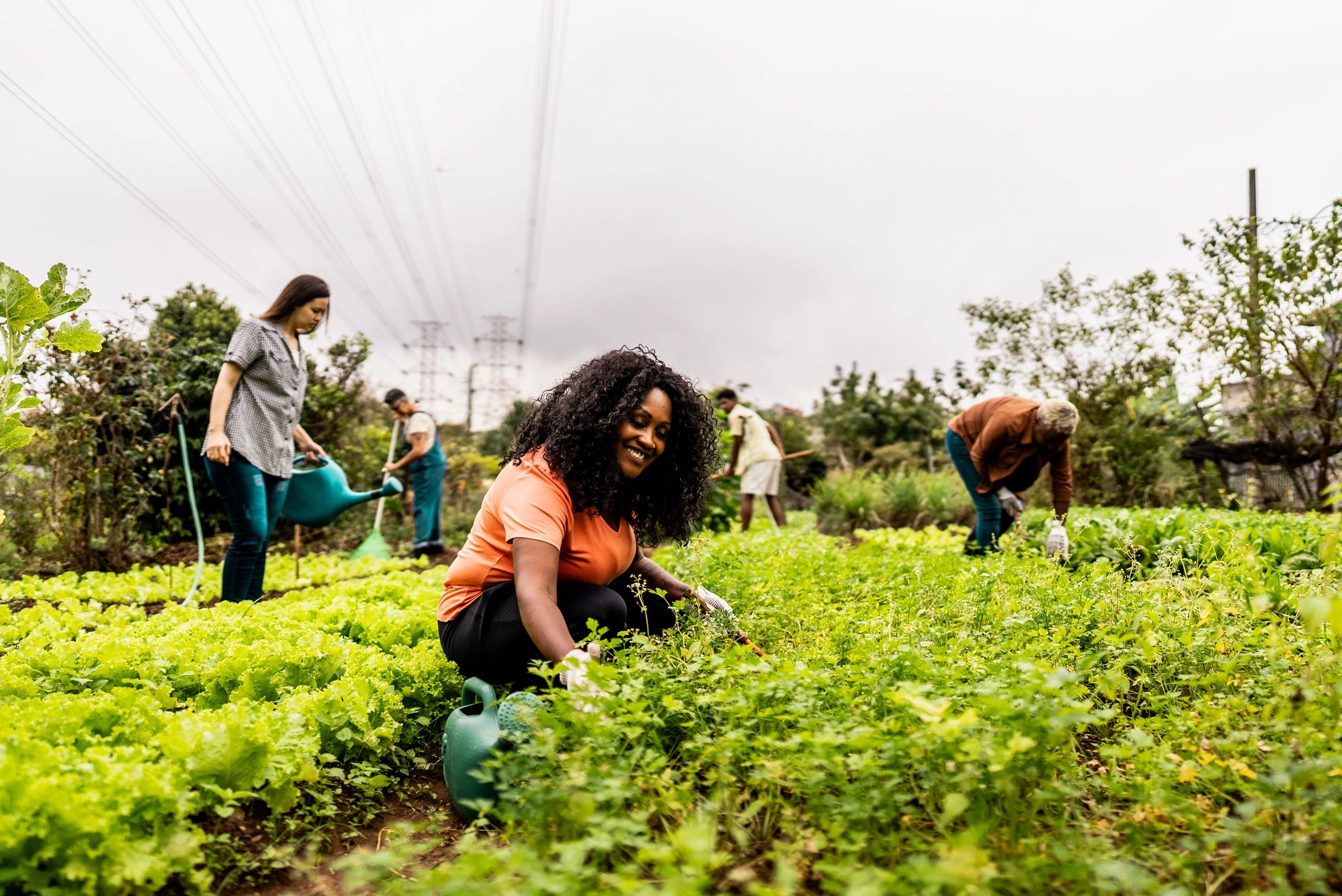 Volunteer caring for a community garden