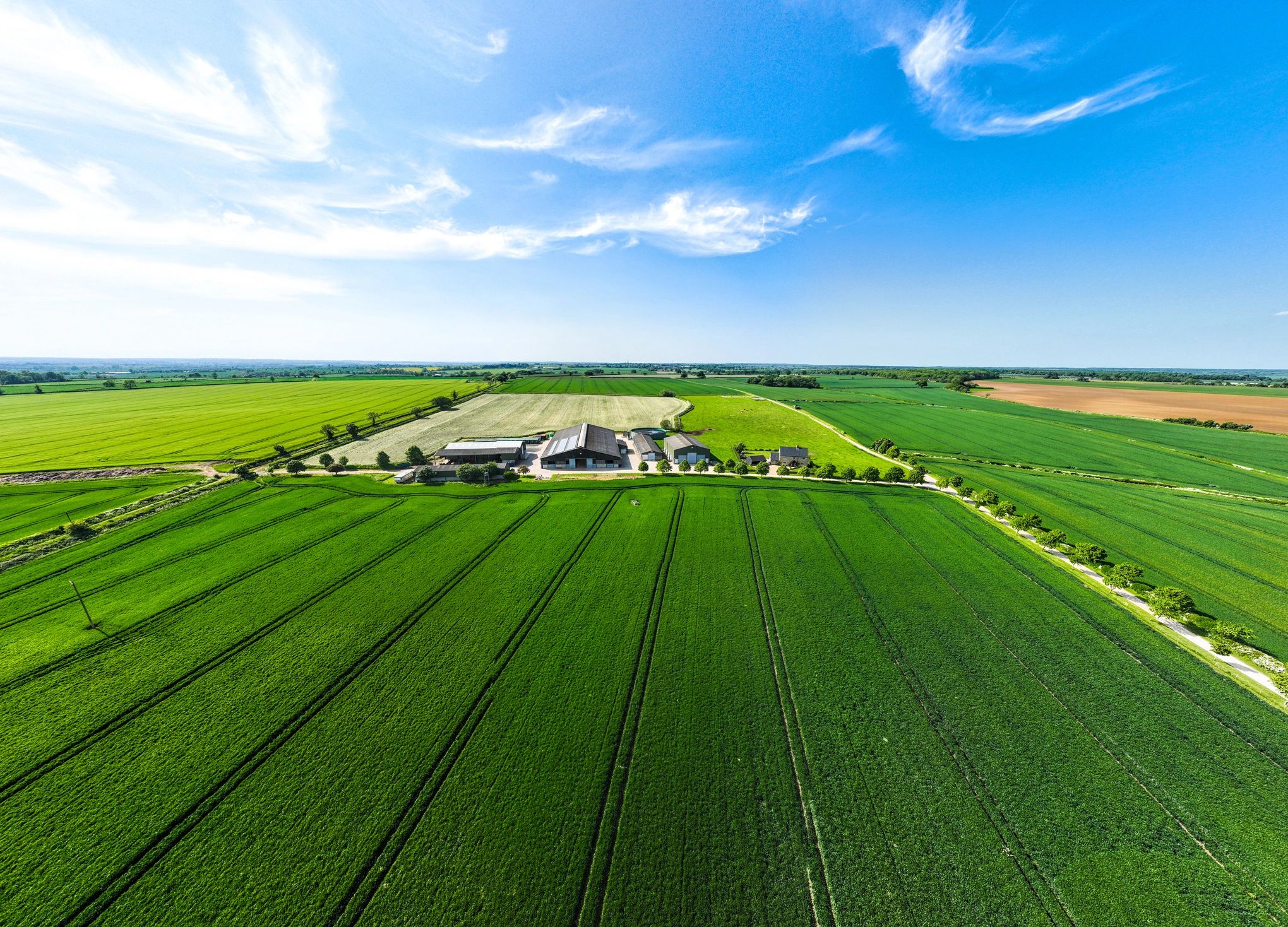 Aerial view of a farm surrounded by vast green fields under a blue sky.