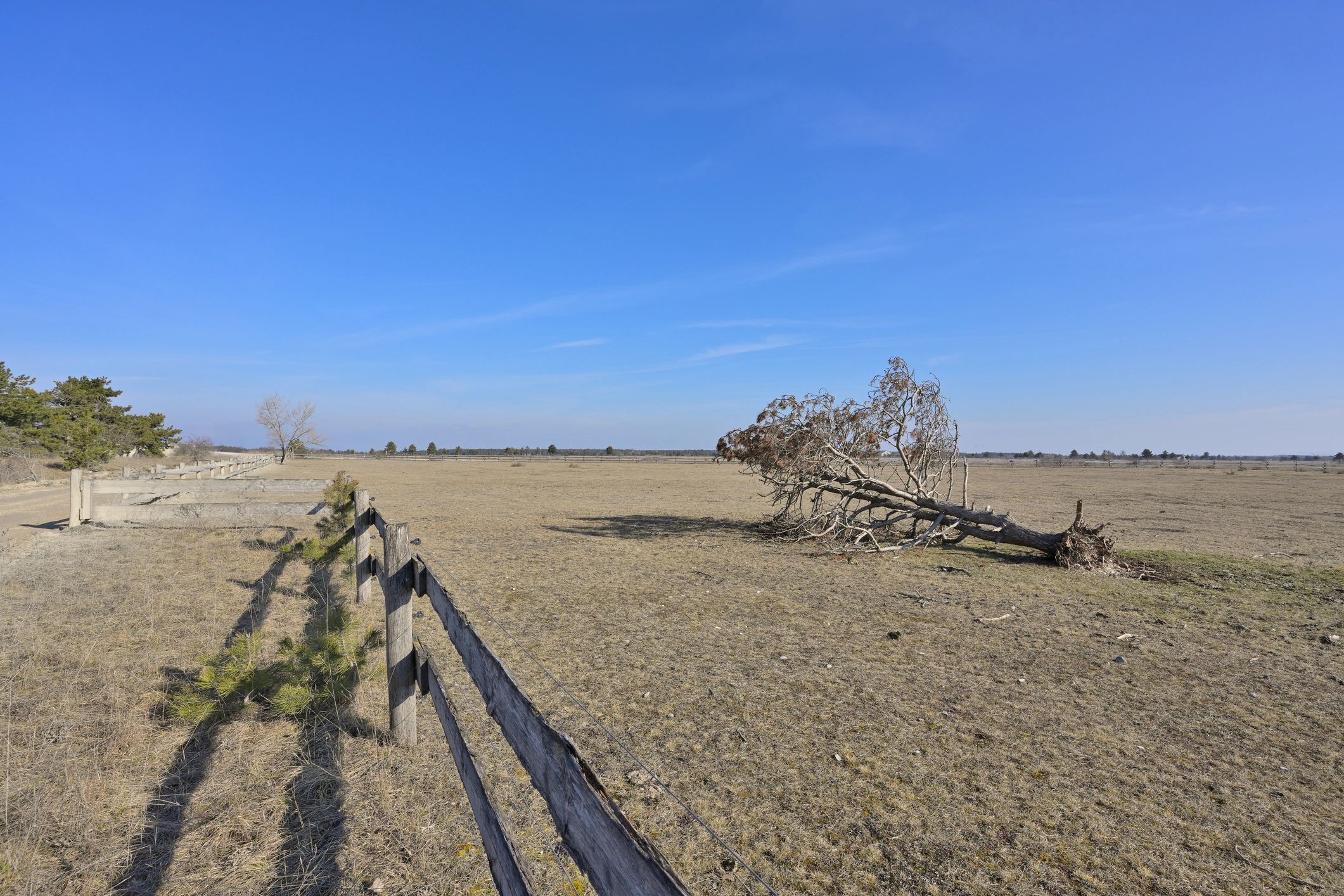 Open farm landscape symbolizing land preservation