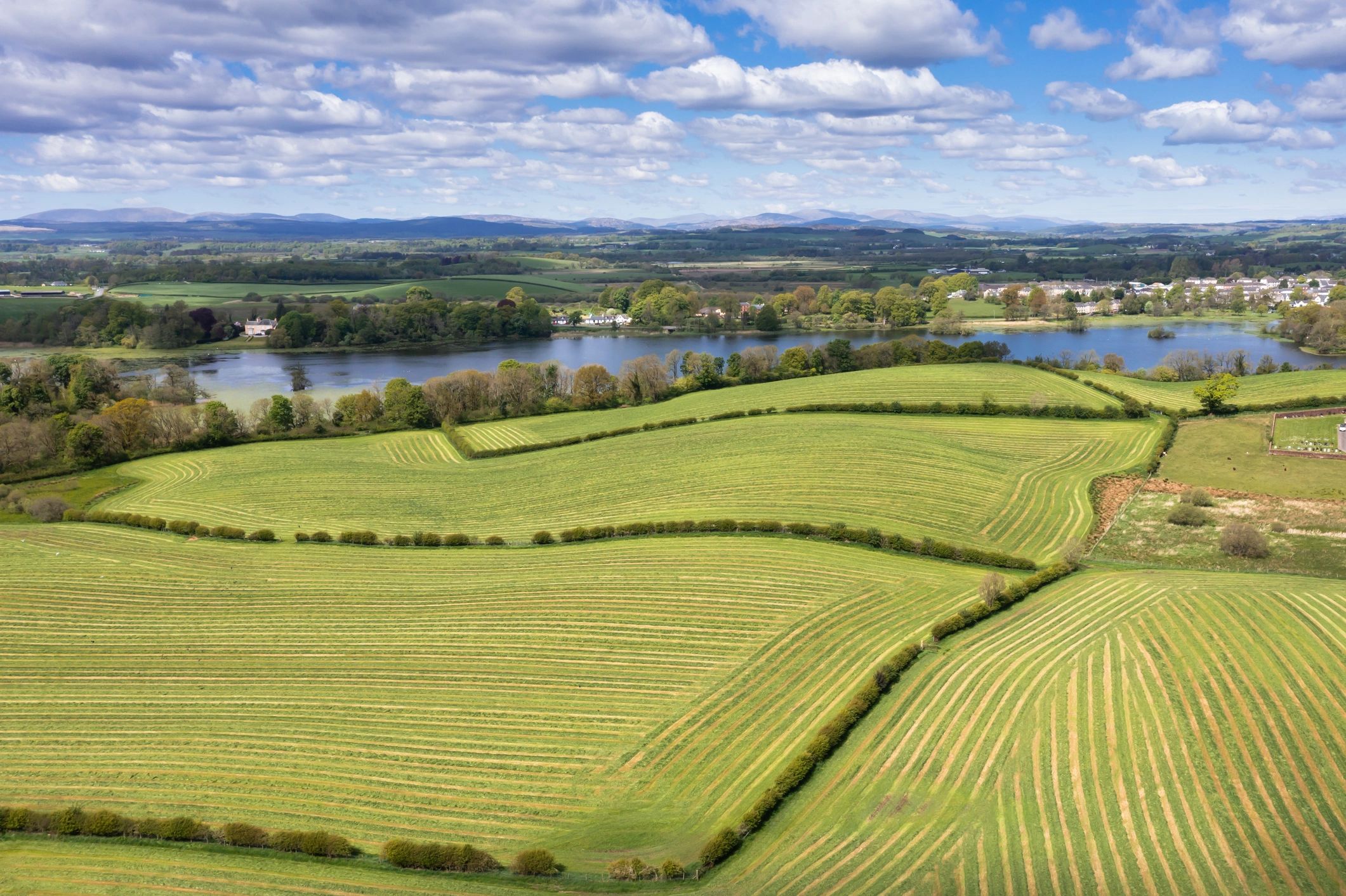 Open field showing active rural land stewardship