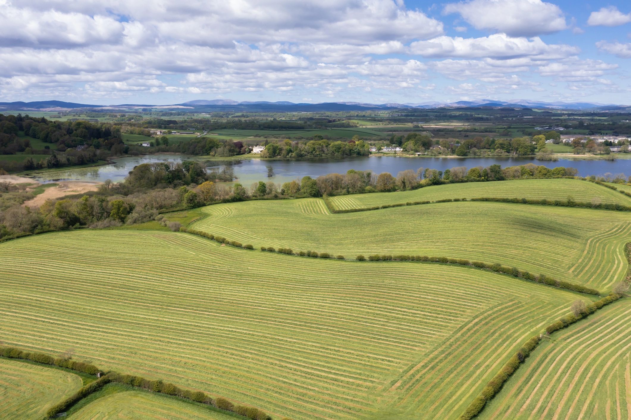 Open farm field representing preservation and stewardship