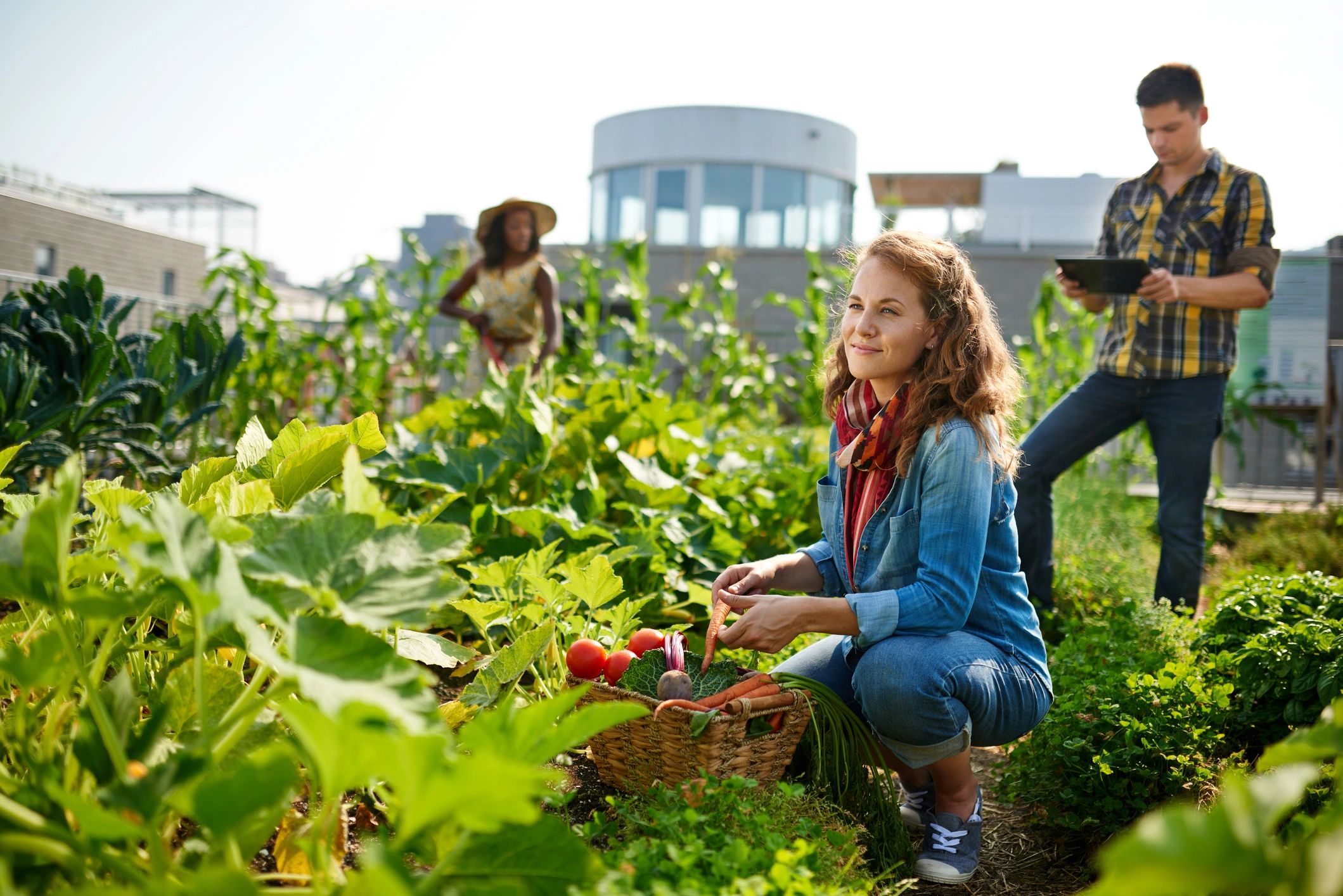 Community volunteers working together in a farm setting